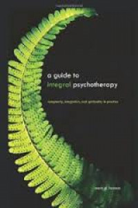 A guide to integral psychotherapy : complexity, integration, and spirituality in
practice