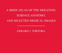 A Brief Atlas of the Skeleton, Surface Anatomi, and Selected Medical Images