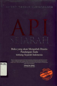 Api Sejarah Buku Yang Akan Mengubah Drastis PanDangan Anda Tentang Sejarah Indonesia
