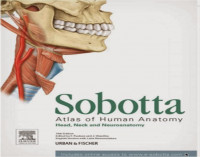 Sobotta Altas of Human Anatomy: Head, Neck, and Neuroanatomy 15 th Edition